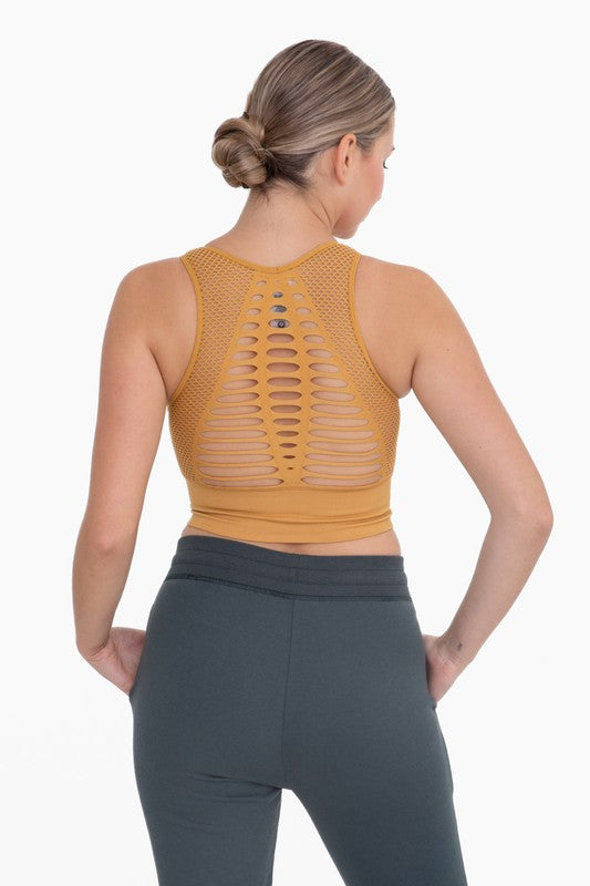 Laser Cut Seamless Sports Bra